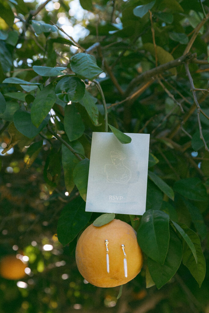 Greece Elopement Wedding Details for a Palm Springs Wedding